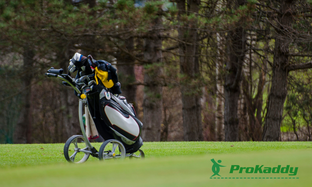 Electric Golf Trolley