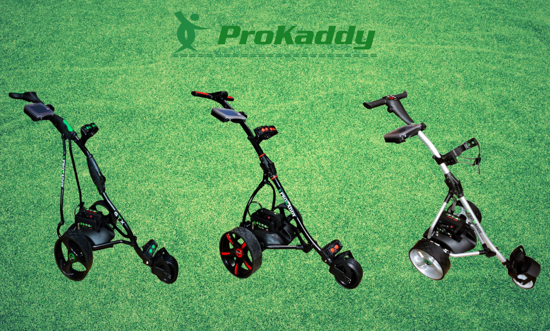 Carro de golf de litio