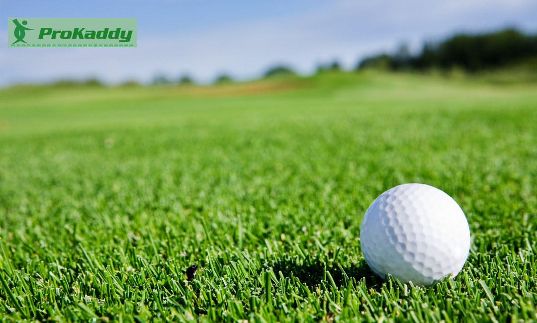 Golf Trolley Battery